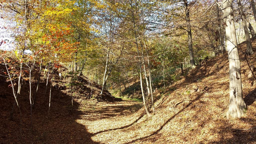 La Valle Nervesa della Battaglia Экстерьер фото